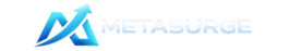 MetaSurge Guide