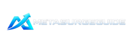 MetaSurgeGuide
